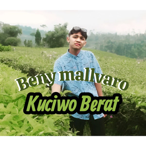 Kuciwo Berat