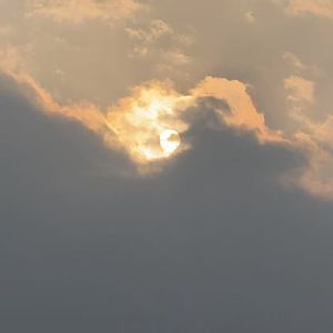 Love in the Mist(prod.by Morrow)