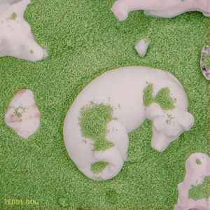 너희 집 강아지가 보고 싶어 날 따랐었잖아