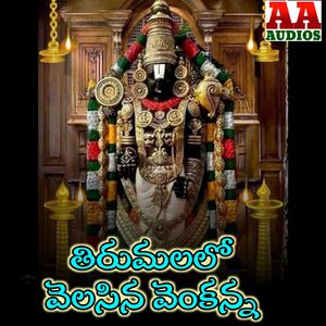 Thirumala Lo Velasina Venkanna