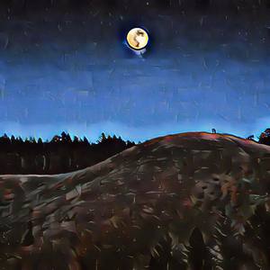 Night Slip