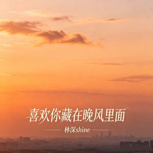 喜欢你藏在晚风里面