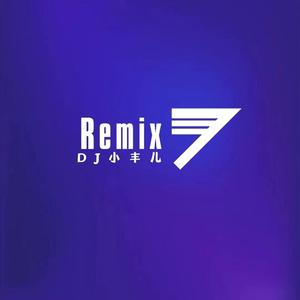 DJ小丰儿-小丰儿私人制作全旋律全程高潮弹跳串烧NO.2（DJ小丰儿 remix）