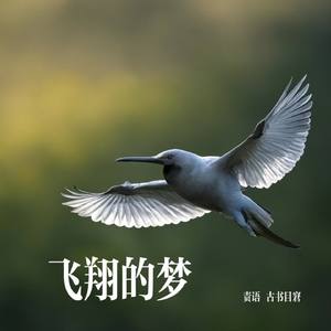 飞翔的梦