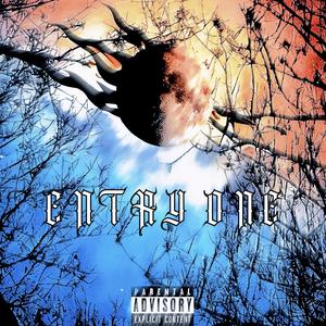 ENTRY ONE