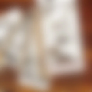 Des Geyers Schwarzer Haufen