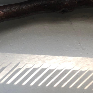 In the Soul of My Solitude