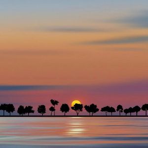 我咽下一枚铁做的月亮