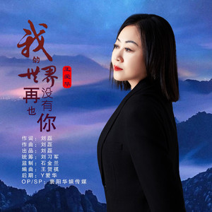我的世界再也没有你