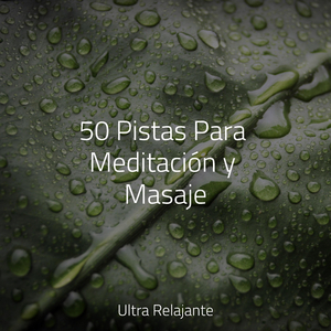 Ritmos De Latidos