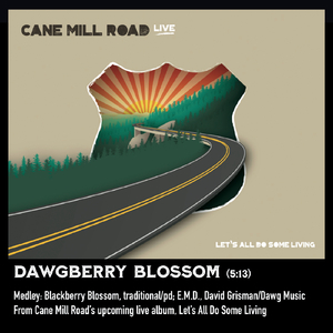 Dawgberry Blossom Medley: Blackberry Blossom / E.M.D. (Live)