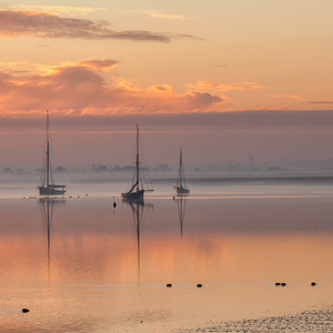 আমার ভাই মরলো কেন জবাব দে