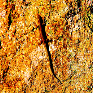 Through Stormy Weather