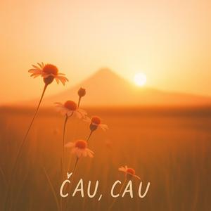 Čau, čau