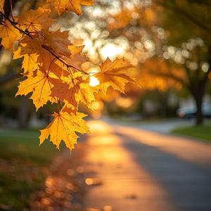 辞家千里又千里