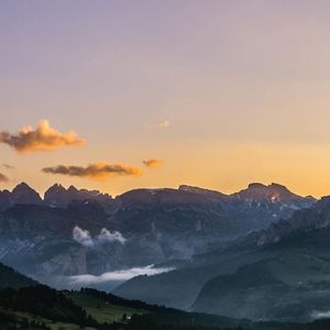 校园的樱花又开了