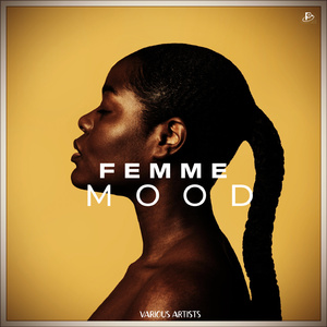 Wild Horses (Chill Folk Version)