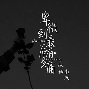 卑微到最后有多痛