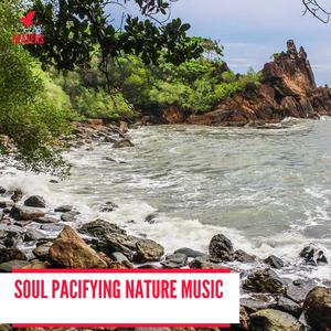 Meadows Dawn Wetlands