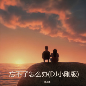 忘不了怎么办 (DJ小刚广场舞版)