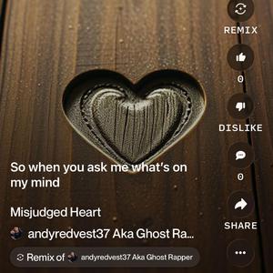 Misjudged Heart