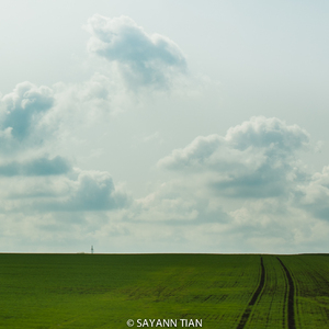 瀑布水汽升却降落蒲公英