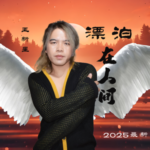 王新星 - 漂泊在人间