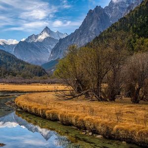 《竖琴轻吟，萌宠治愈之境》059