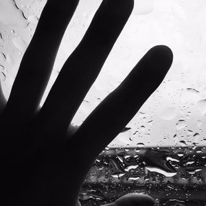 鱼书（Cover 曹秦 / 陈鸿宇）