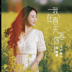 我在春天等你 (Dj版)