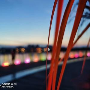 翻篇“Prod By C1”