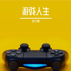 《布 响 丸 辣》