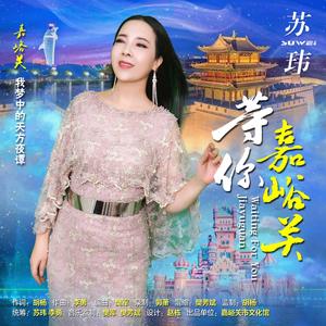 等你嘉峪关－苏玮