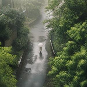 我自踏雪至山巅