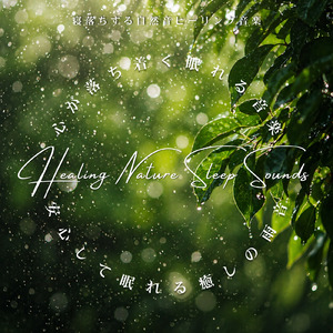 雨の静寂 - セロトニンを増やす静かな熟睡環境音