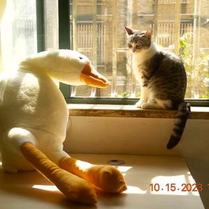 我比时间过得慢