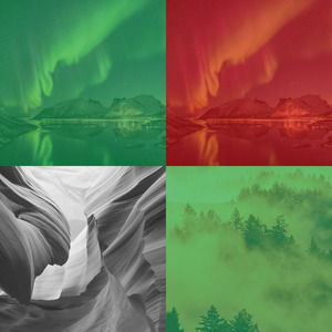 一尘不染餐厅印象数