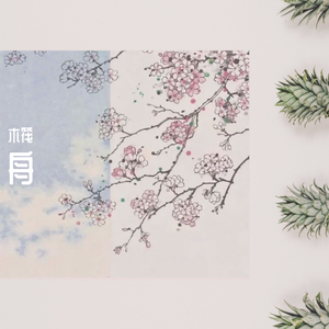 你是我年少求剑时刻的舟