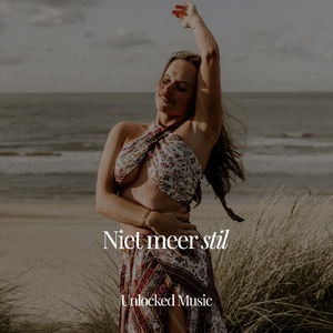 Niet meer stil (Radio Edit)