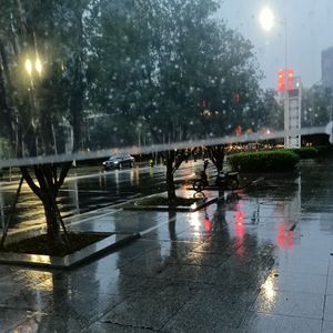 monkey's wedding(橙汁，p40林康鉴)