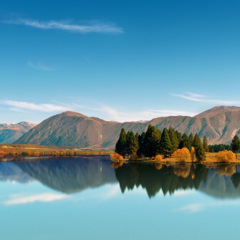 阿里嘎多我阴暗世界里的小太阳