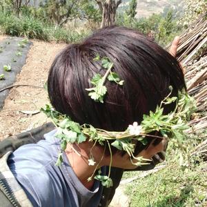 独自唱情歌(Prod.SSR Studio)