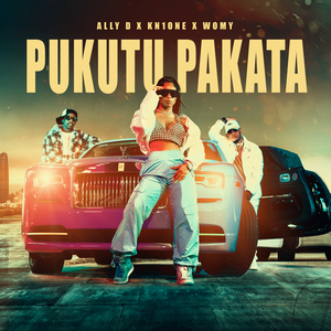 Pukutu Pakata