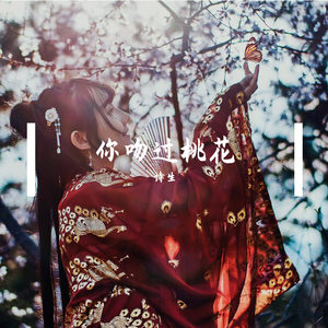 你吻过桃花 伴奏