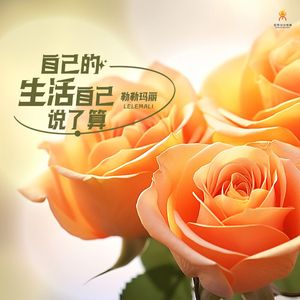 自己的生活自己说了算(伴奏)-勒勒玛丽