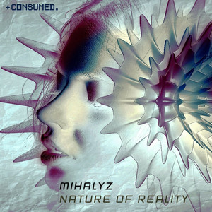 Nature of Reality (Original Mix)