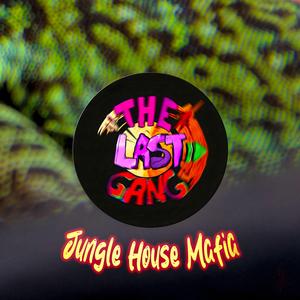 Jungle House Mafia (Johnfaustus Remix)