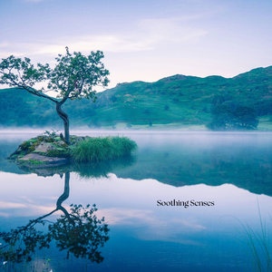 Soothing Senses