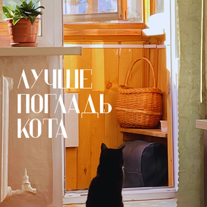 Лучше погладь кота