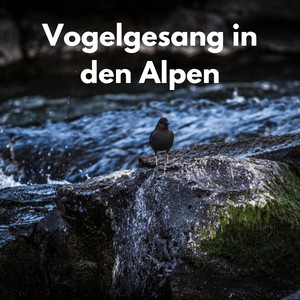 Alpenmelodie